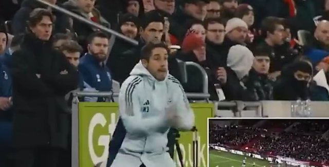 不是哥们,咱谁是主教练,这么激动